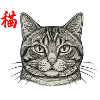 Cat Asian
