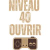 Niveau 40 Ouvrir — Controller Retro