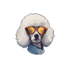 Pyjama Chien Caniche Humour