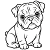 Bulldog Line Art – Cute & Clear