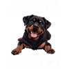 Dog Owner Gift Rottweiler Dog Owner