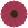 Rosa Gerbera-Blütenmuster