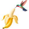 Il colibrì incontra la banana dorata