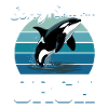 Funny Orca