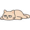 Grummelkatze: Fauler Liegekünstler