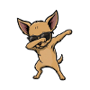 Dabbing Chihuahua