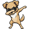 Dabbing Golden Retriever