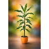 Green potted tree elegance