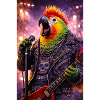 RockyZoo11