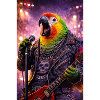RockyZoo7
