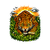 Leopard at sunrise