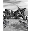 Starfish Dome Island Art