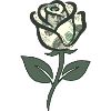 Dollar Rose