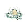 Capybara in the spring bath