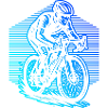 In a nutshell, Roadbike