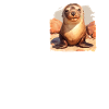 Seelöwen Seelöwe