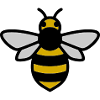 Bee Insect Cartoon