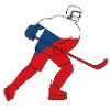 Hockey player with the Czech flag