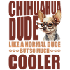 Chihuahua Chihuahueño Chihuahua