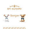 Chihuahua Chihuahueño Chihuahuas