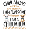 Chihuahua Chihuahueño Chihuahuas