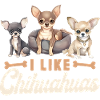Chihuahua Chihuahueño I Like