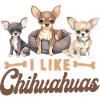 Chihuahua Chihuahueño I Like