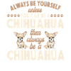 Chihuahua Chihuahueño Always Be