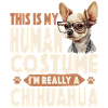 Chihuahua Chihuahueño This Is My