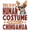 Chihuahua Chihuahueño This Is My