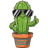 Cactus avec lunettes de soleil