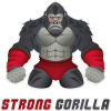 Gorilla MMA Workout