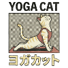 Yoga Cat