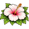 Hibiscus Tropical Bloom