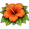 Hibiscus Tropical Bloom