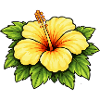 Imprimé tropical hibiscus jaune