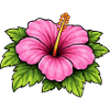 Hibiscus Tropical Dream Blossoms