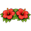 Double Hibiscus Tropics Pattern