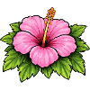 Pink Hibiscus Blossom Illustration