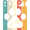 Adopt cat