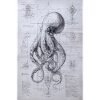 Oktopus-Bauplan-Skizze