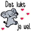 Exams Motivation Elephant
