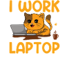 Cat work on laptop