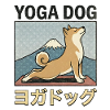 Chien de yoga