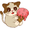 Katze isst Eis