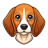 Beagle-Gesicht