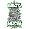 WHITE WIDOW