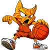 Basketball Cats - Cool Cat