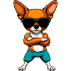 Coach Chihuahua
