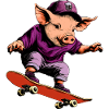 Pig Skateboard / Skater Pig